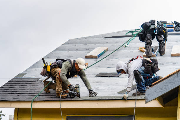 Professional Roofing technician working in Darien Center, NY